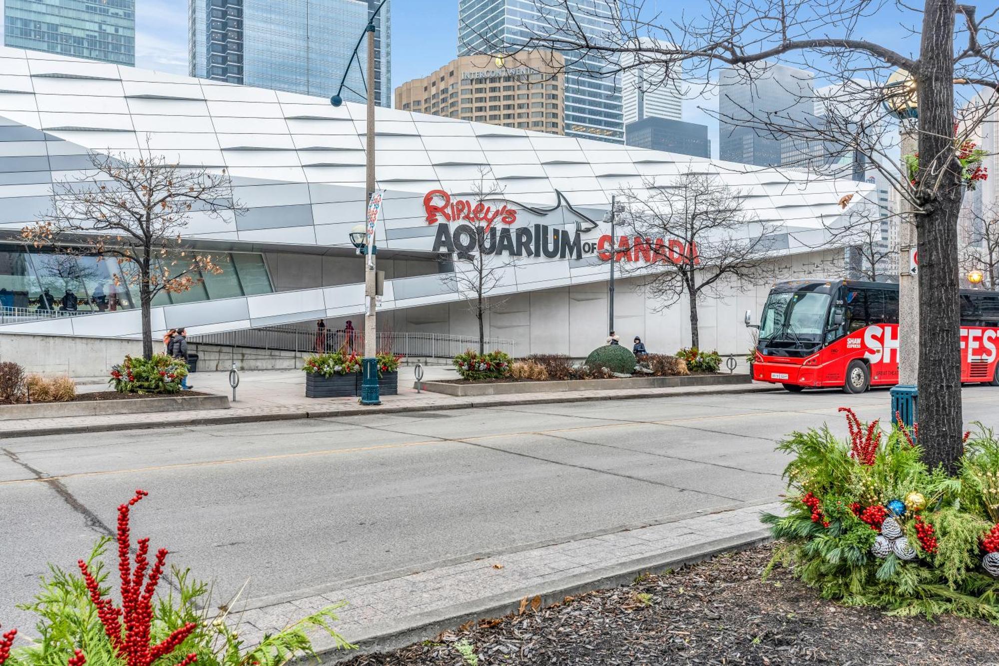 Spadina Modern Suites Торонто Экстерьер фото